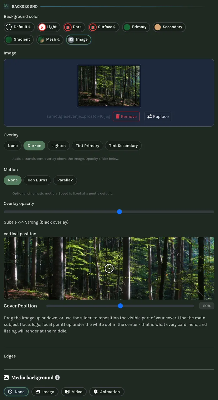 The background controls shared by every section.