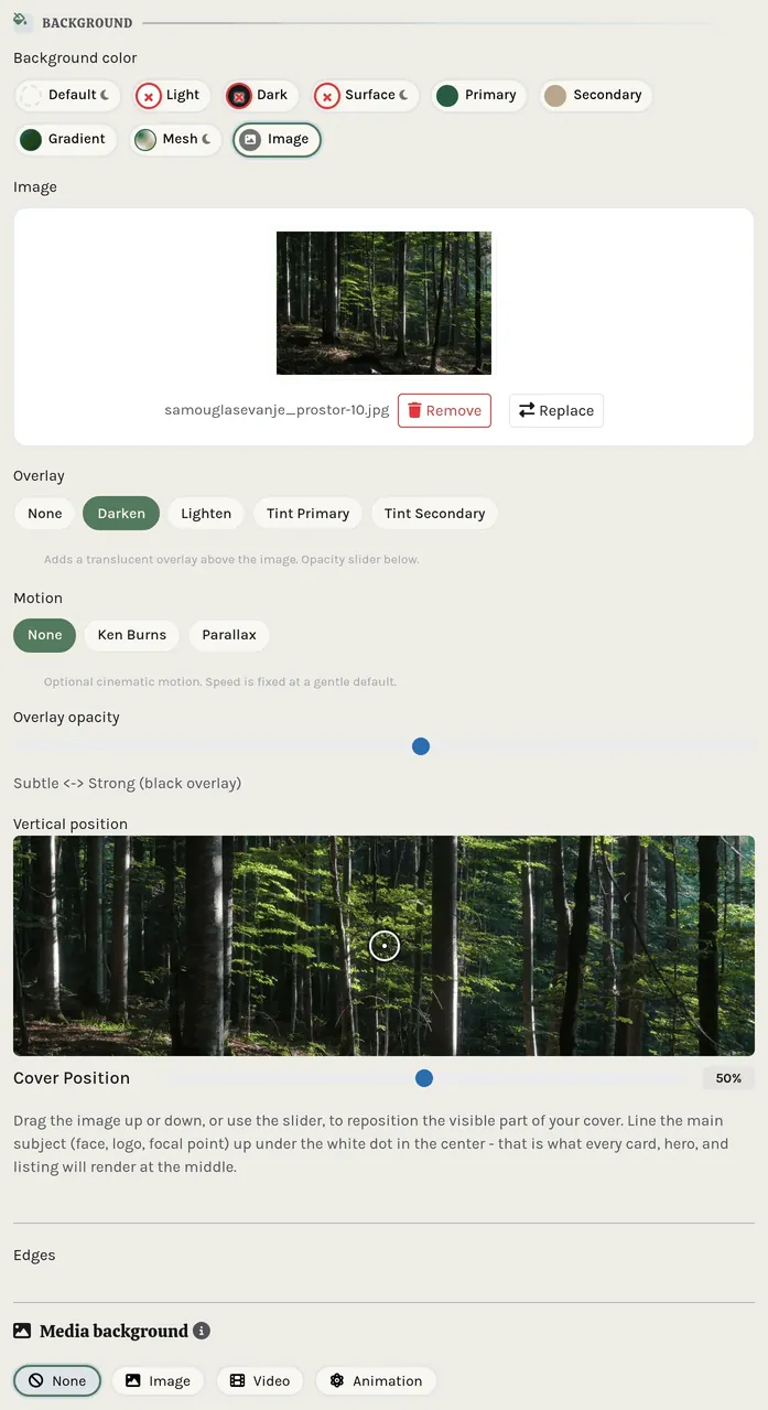 The background controls shared by every section.
