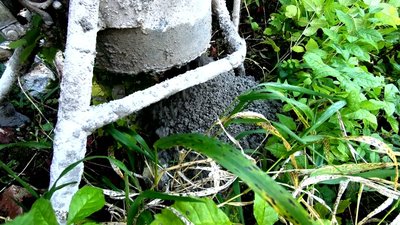 KR Shitting Concrete