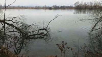 KR koncentrični krogi