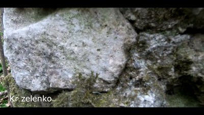 KR zelenko drugi