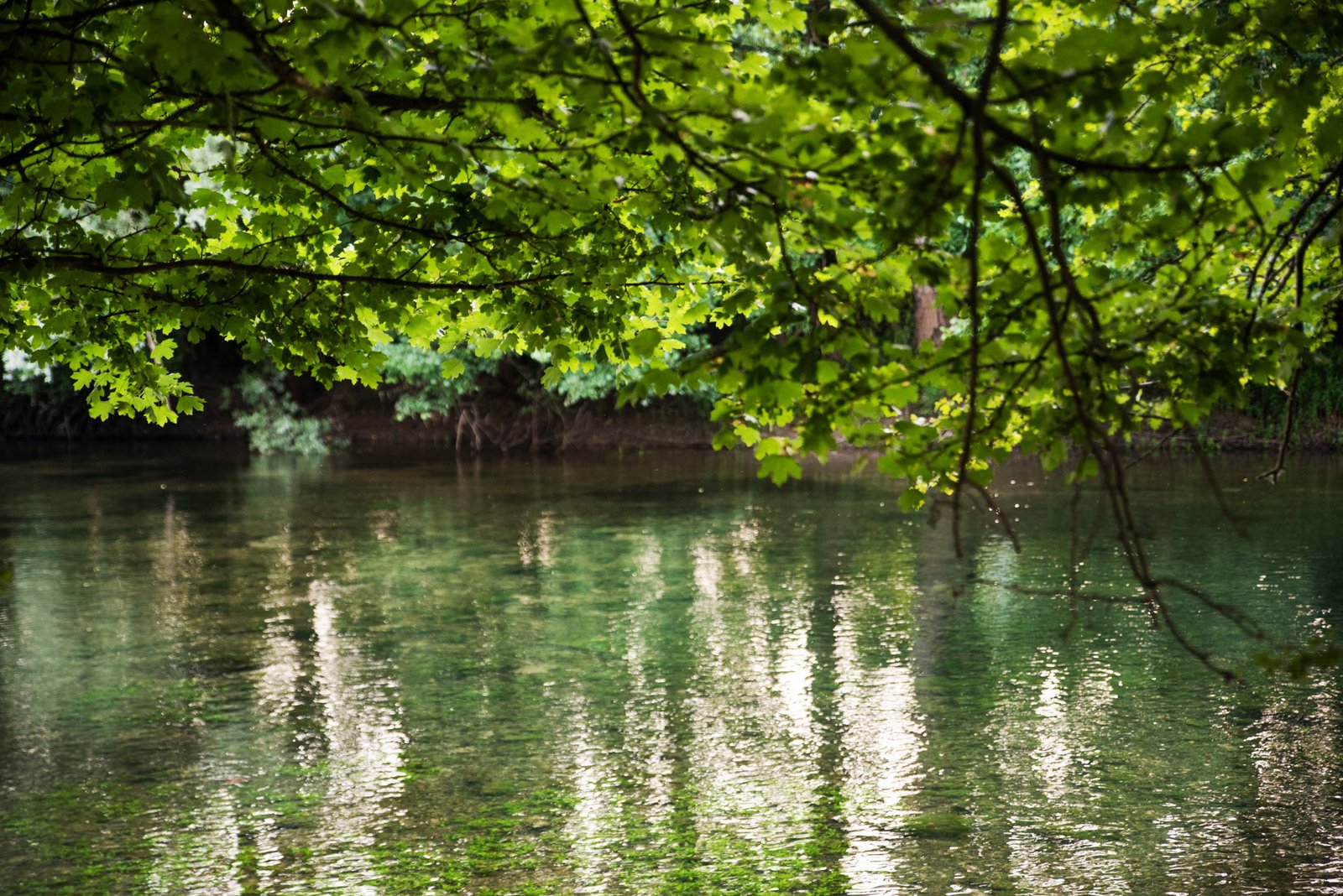 Ponižnost in hvaležnost